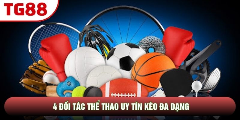 4 đối tác thể thao uy tín kèo đa dạng 4 đối tác thể thao uy tín kèo đa dạng