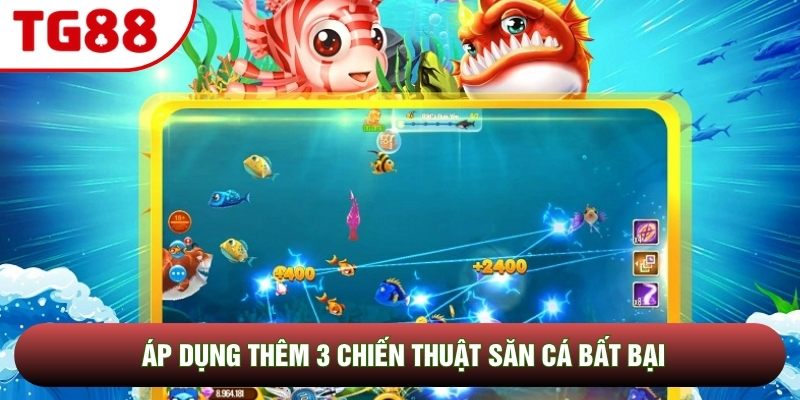 Áp dụng thêm 3 chiến thuật săn cá bất bại Áp dụng thêm 3 chiến thuật săn cá bất bại
