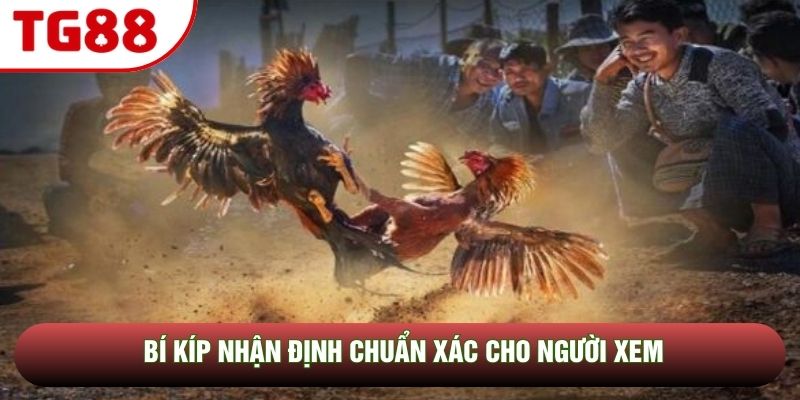 Bí kíp nhận định chuẩn xác cho người xem Bí kíp nhận định chuẩn xác cho người xem