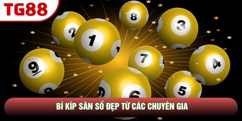 Bí kíp săn số đẹp từ các chuyên gia Bí kíp săn số đẹp từ các chuyên gia