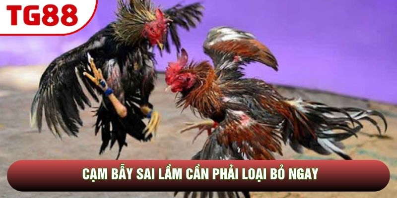 Cạm bẫy sai lầm cần phải loại bỏ ngay