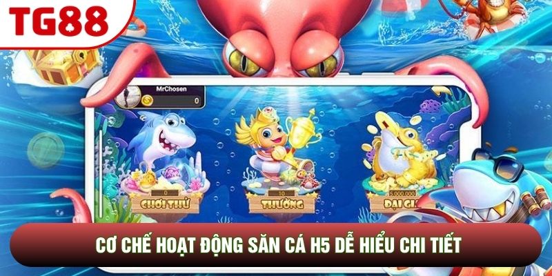 Cơ chế hoạt động săn cá H5 dễ hiểu chi tiết Cơ chế hoạt động săn cá H5 dễ hiểu chi tiết