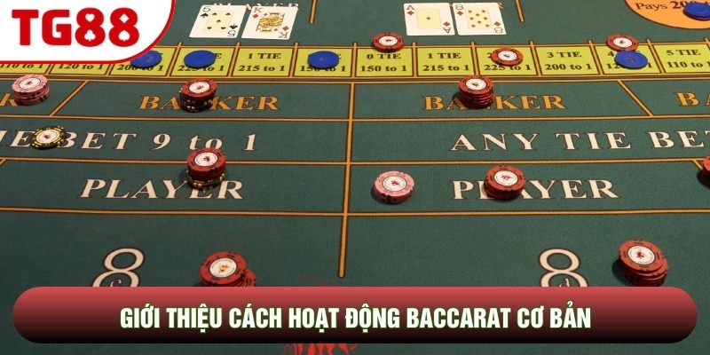Giới thiệu cách hoạt động Baccarat cơ bản