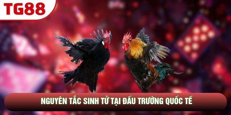 Nguyên tắc sinh tử tại đấu trường quốc tế Nguyên tắc sinh tử tại đấu trường quốc tế