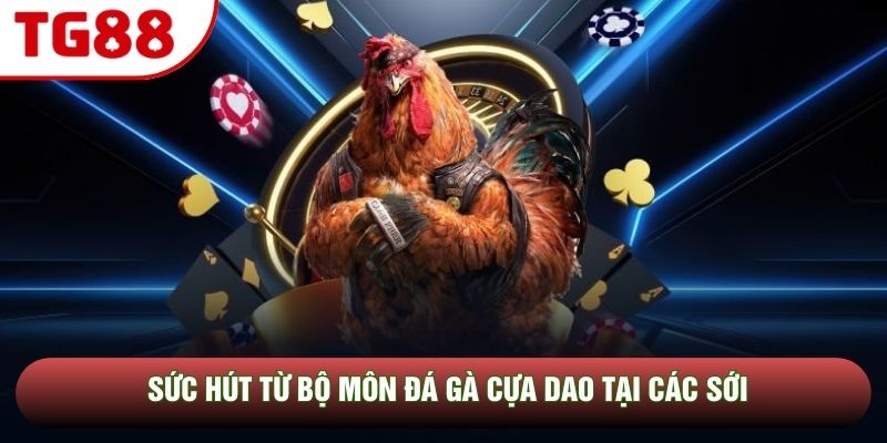 Sức hút từ bộ môn Đá gà cựa dao tại các sới Sức hút từ bộ môn Đá gà cựa dao tại các sới