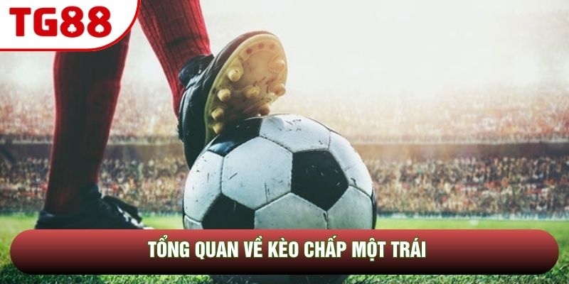 Tổng quan về kèo chấp một trái Tổng quan về kèo chấp một trái