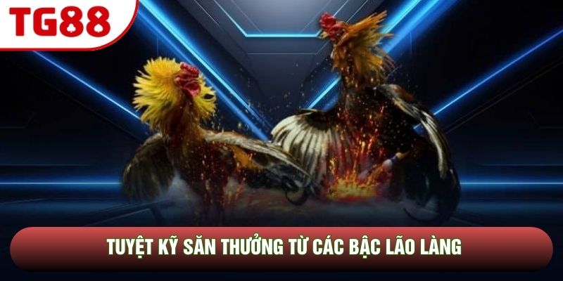 Tuyệt kỹ săn thưởng từ các bậc lão làng